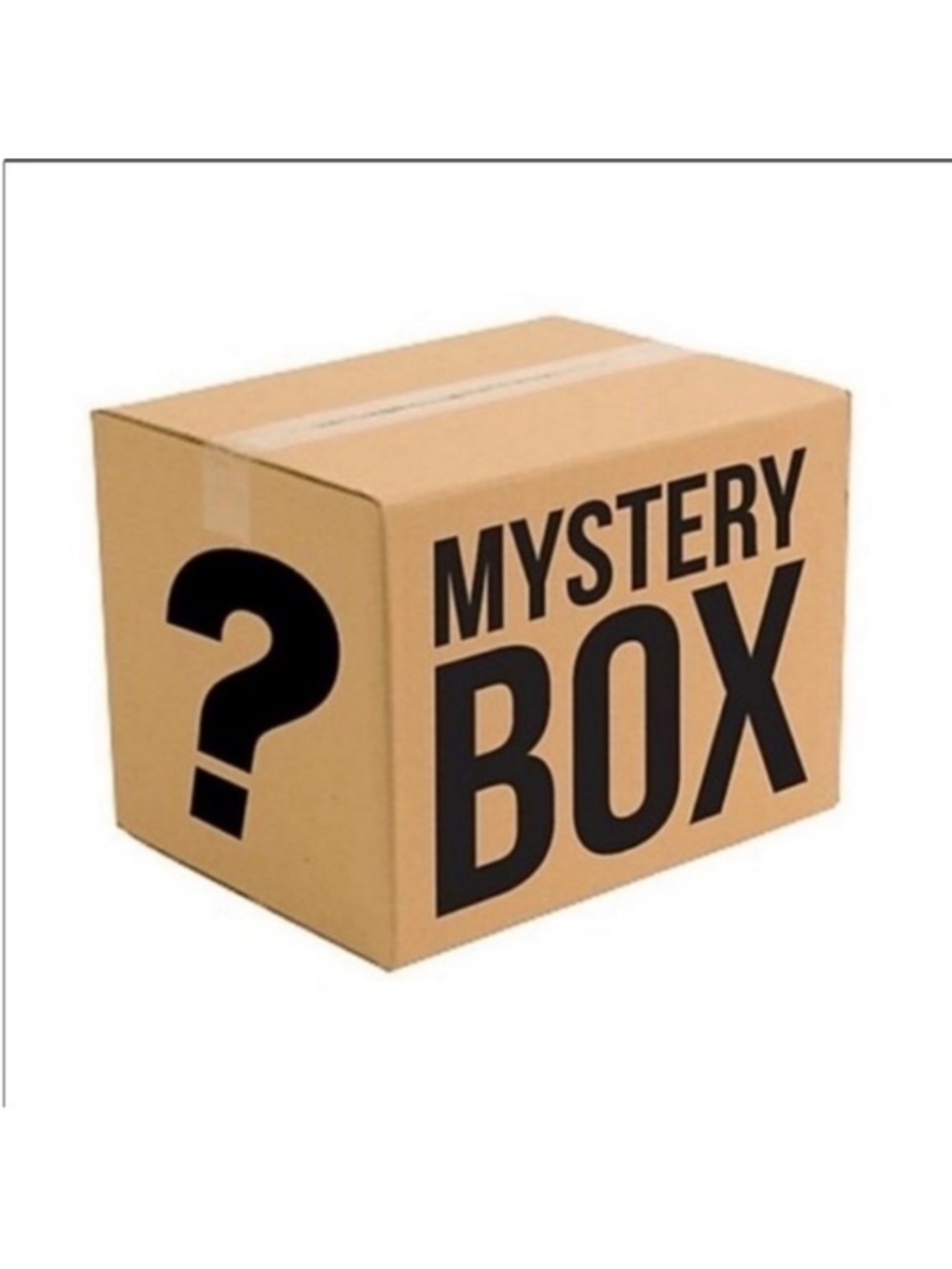 Torrid Reseller Box – Full of clothes
